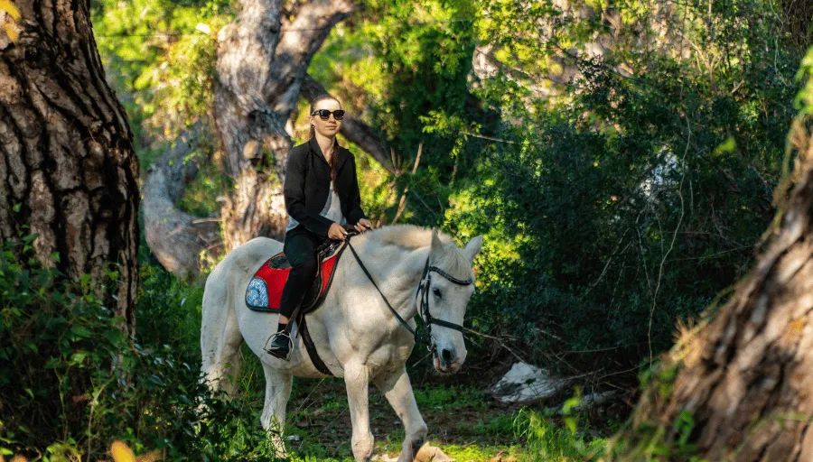 Horse Riding photo 3